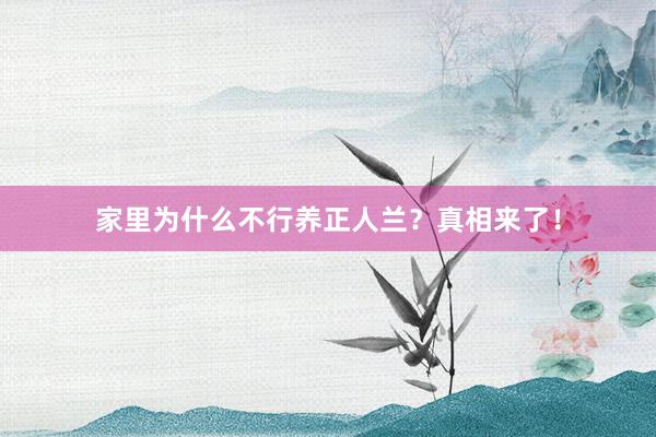 家里为什么不行养正人兰?真相来了!