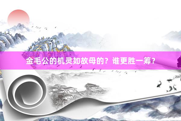 金毛公的机灵如故母的？谁更胜一筹？
